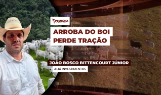 João Bosco Bittencourt Júnior - Aliá Investimentos