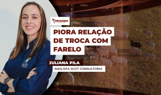 Juliana Pila - Analista Scot Consultoria