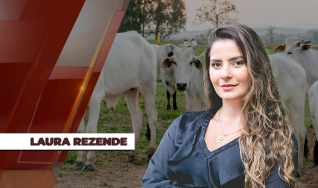 Laura Rezende - Consultora da Agrifatto