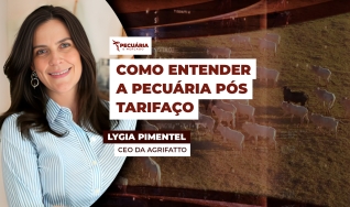 Lygia Pimentel - CEO da Agrifatto