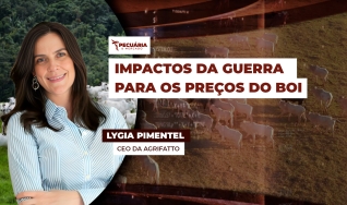 Lygia Pimentel - CEO da Agrifatto