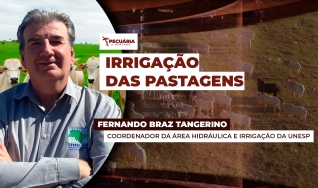Fernando Braz Tangerino - Coordenador da área hidráulica e irrigação da UNESP - Ilha Solteira