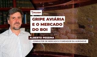 Alberto Pessina - Consultor de mercado e fundador da AgroMove