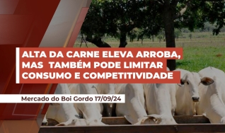 André Aguiar - Sócio e Consultor da Boviplan