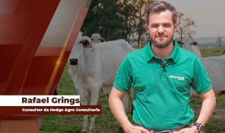Rafael Grings - Consultor da Hedge Agro Consultoria
