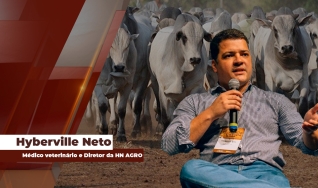 Hyberville Neto - Médico veterinário e Diretor da HN AGRO