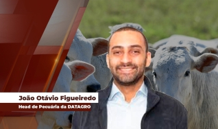 João Otávio Figueiredo - Head de Pecuária da DATAGRO