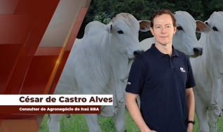 César de Castro Alves - Consultor de Agronegócio do Itaú BBA