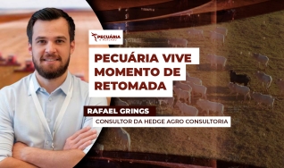 Rafael Grings - Consultor da Hedge Agro Consultoria