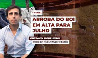 Gustavo Figueiredo - Sócio da Radar Investimentos