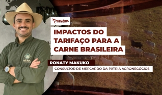 Ronaty Makuko - Eng. Agrôn. e Consultor de Mercardo da Pátria Agronegócios