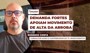 Rodrigo Costa - Consultor Agro e Contribuidor do TC Investimentos