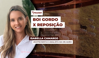 Isabella Camargo - Zootecnista e analista da HN Agro
