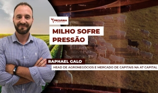 Raphael Galo - Head de Agronegócios e Mercado de Capitais na A7 Capital