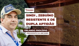 Orlando Procópio - Presidente da ABCSindi