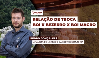 Pedro Gonçalves - Analista de Mercado da Scot Consultoria