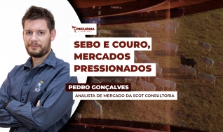Pedro Gonçalves - Analista de Mercado da Scot Consultoria