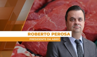 Roberto Perosa - Presidente da ABIEC