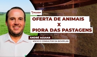 André Aguiar - Sócio e Consultor da Boviplan