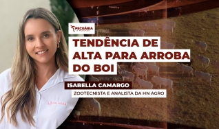 Isabella Camargo - Zootecnista e analista da HN Agro