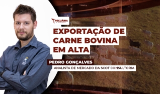 Pedro Gonçalves - Analista de Mercado da Scot Consultoria