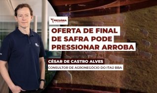 César de Castro Alves - Consultor de Agronegócio do Itaú BBA