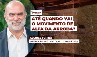 Alcides Torres - Analista de Mercado da Scot Consultoria