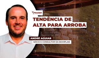 André Aguiar - Sócio e Consultor da Boviplan