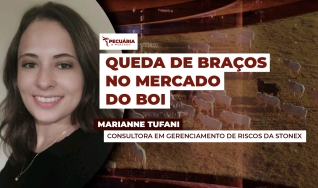 Marianne Tufani - Consultora em Gerenciamento de Riscos da StoneX