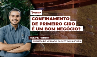 Felipe Fabbri - Analista de Mercado da Scot Consultoria