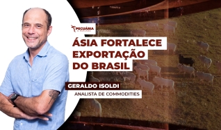 Geraldo Isoldi - Analista de Commodities