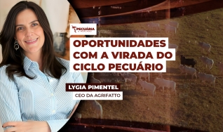 Lygia Pimentel - CEO da Agrifatto