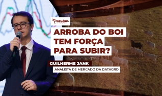 Guilherme Jank - Analista de Mercado da Datagro