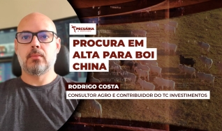 Rodrigo Costa - Consultor Agro e Contribuidor do TC Investimentos