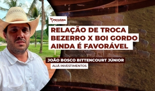 João Bosco Bittencourt Júnior - Aliá Investimentos