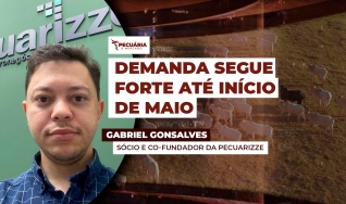 Gabriel Gonsalves - Sócio e Co-Fundador da Pecuarizze