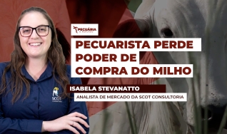 Isabela Stevanatto - Analista de Mercado da Scot Consultoria