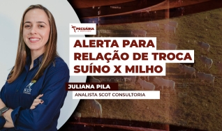 Juliana Pila - Analista Scot Consultoria