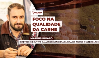 Mateus Pivato - Diretor-executivo da Associação Brasileira de Angus e Ultrablack