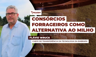 Flávio Wruck - Chefe de Transferência da Tecnologia da Embrapa Agrossilvipastoril
