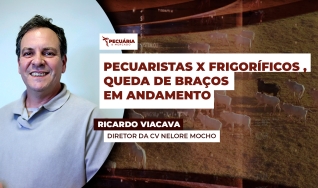 Ricardo Viacava - Diretor da CV Nelore Mocho