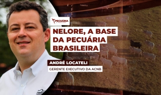 André Locateli - Gerente Executivo da ACNB