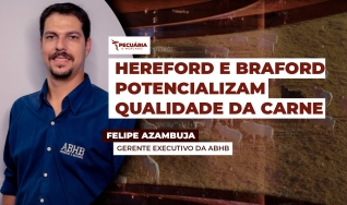 Felipe Azambuja - Gerente Executivo da ABHB