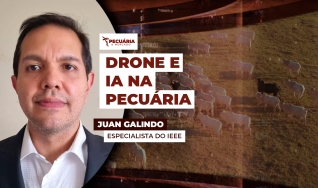 Juan Galindo - Especialista do IEEE