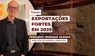 Fernando Henrique Iglesias - Analista da Safras & Mercado