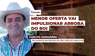 Carlito Guimarães - Pecuarista na Região de São José do Xingu/MT