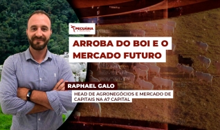 Raphael Galo - Head de Agronegócios e Mercado de Capitais na A7 Capital