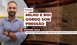 Raphael Galo - Head de Agronegócios e Mercado de Capitais na A7 Capital