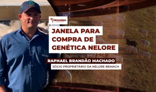 Raphael Brandão Machado - Sócio Proprietário da Nelore Bemach