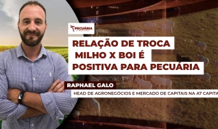 Raphael Galo - Head de Agronegócios e Mercado de Capitais na A7 Capital
